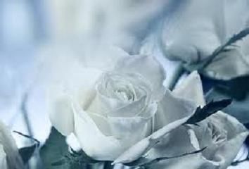 Mamma, Ti Chiedo Perdono  