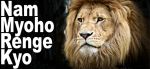 Nam Myoho Renge Kyo
