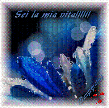 Sei la Mia Vita