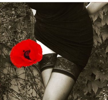 Il sentiero dei papaveri