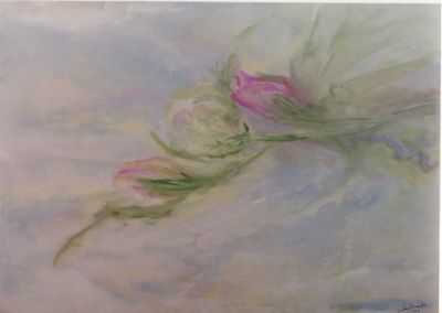 Iris... sboccia nei cuori