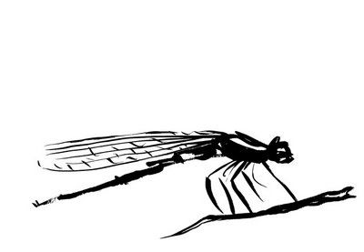 Un tuffo di libellula