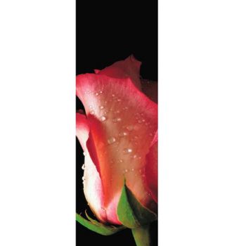 Se fossi una lacrima