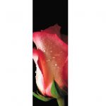 Se fossi una lacrima