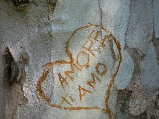Amore ti Amo