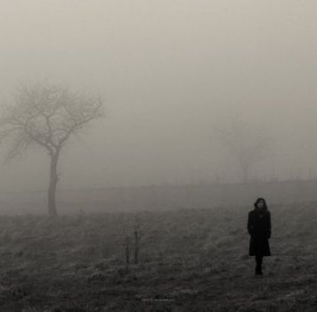 Tagliente come il freddo