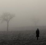 Tagliente come il freddo