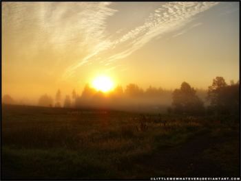 Dipinto Quotidiano - L' Alba