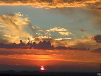 Non voglio dimenticare