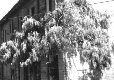 Ricordi di un'estate