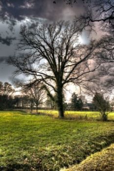 Cassaforte dei ricordi