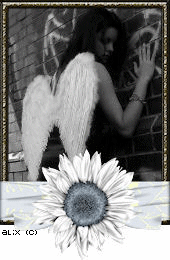 Consiglio del giorno