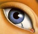 Viaggio di un piccolo borghese