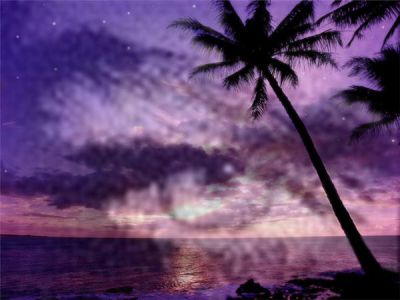 In una conchiglia... cercami