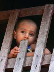 La pace avr� i tuoi occhi