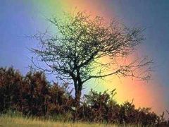 Aquiloni e arcobaleni