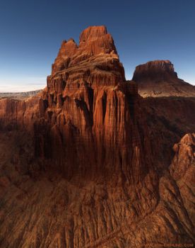 Indifferenza mordace