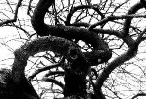 L'oblio dell'umanità