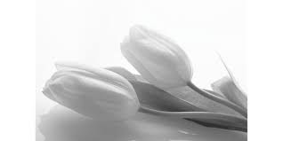 In ricordo di Pier Paolo Pasolini