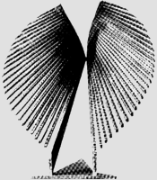 Lettera Ges� Bambino