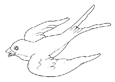 A primavera ritornerai