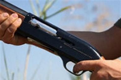 Nessun rumore, nessun suono