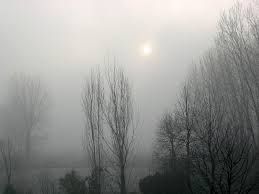 Appare un pallido sole