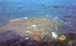 Il mare non � una pattumiera