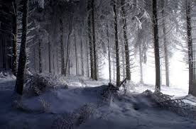 L�alba si perde in un bosco lontano