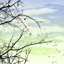 Barlume delle origini