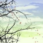 Barlume delle origini