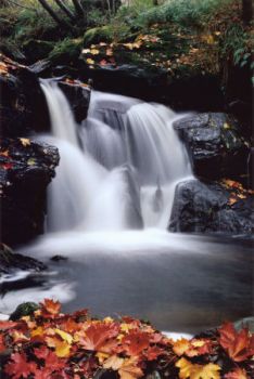 Cascata