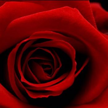 Per sempre amore mio