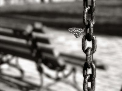 N� VETMI Nella solitudine