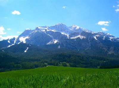 Il miracolo di primavera