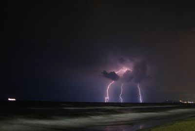Spaghetti allo Scoglio
