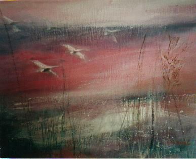 Dove vanno a morire gli aironi