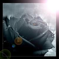 Sei Nulla nell'attesa del Niente