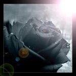 Sei Nulla nell'attesa del Niente