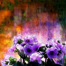 D'ali di cera e cieli a sipario