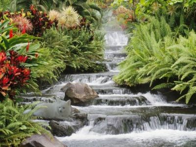 Sei come l'acqua d'un ruscello