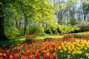 Dolce primavera sei arrivata