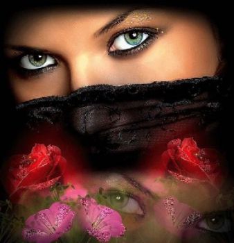 Tu che rischiari la notte