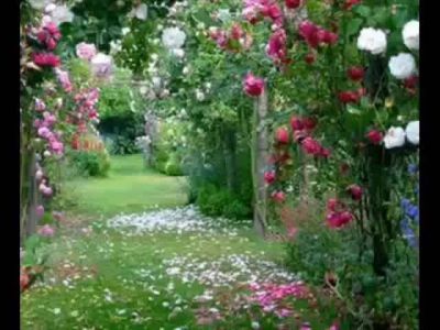 La Primavera dell�Amore