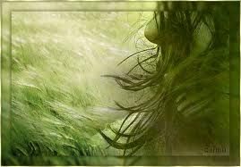 Insostanzialit� dell'essere  