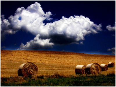 Ciclo di poesie sulla libertà