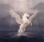 Quel neo sulla fronte  