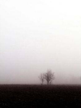 L'ombra di un ritorno