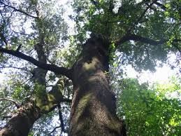 Mi ricordo stretta al tuo petto