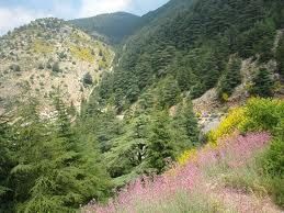 In qualche punto del cielo